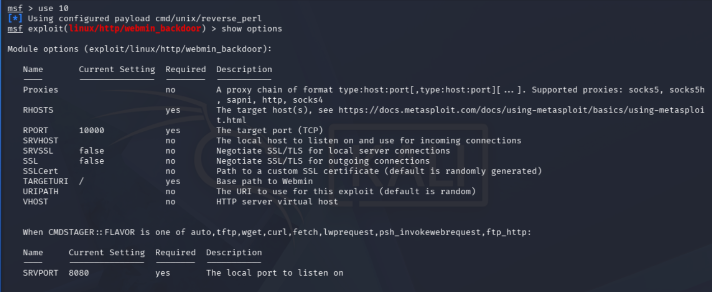 Opciones de configuración del exploit